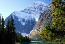 关于鲁能火拼争取小组出线，亚冠之路曲折的信息